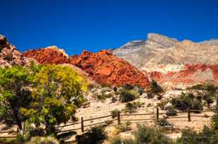 Red Rock Canyon, Nevada-3777 Red Rock Canyon, Nevada-3777